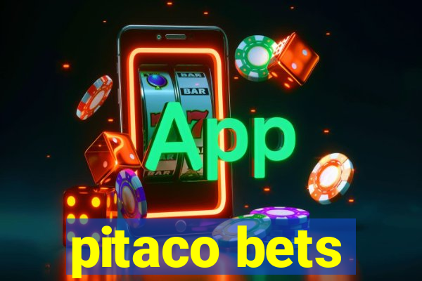 pitaco bets